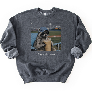 I Live Here Now Baseball Racoon Tee or Sweatshirt